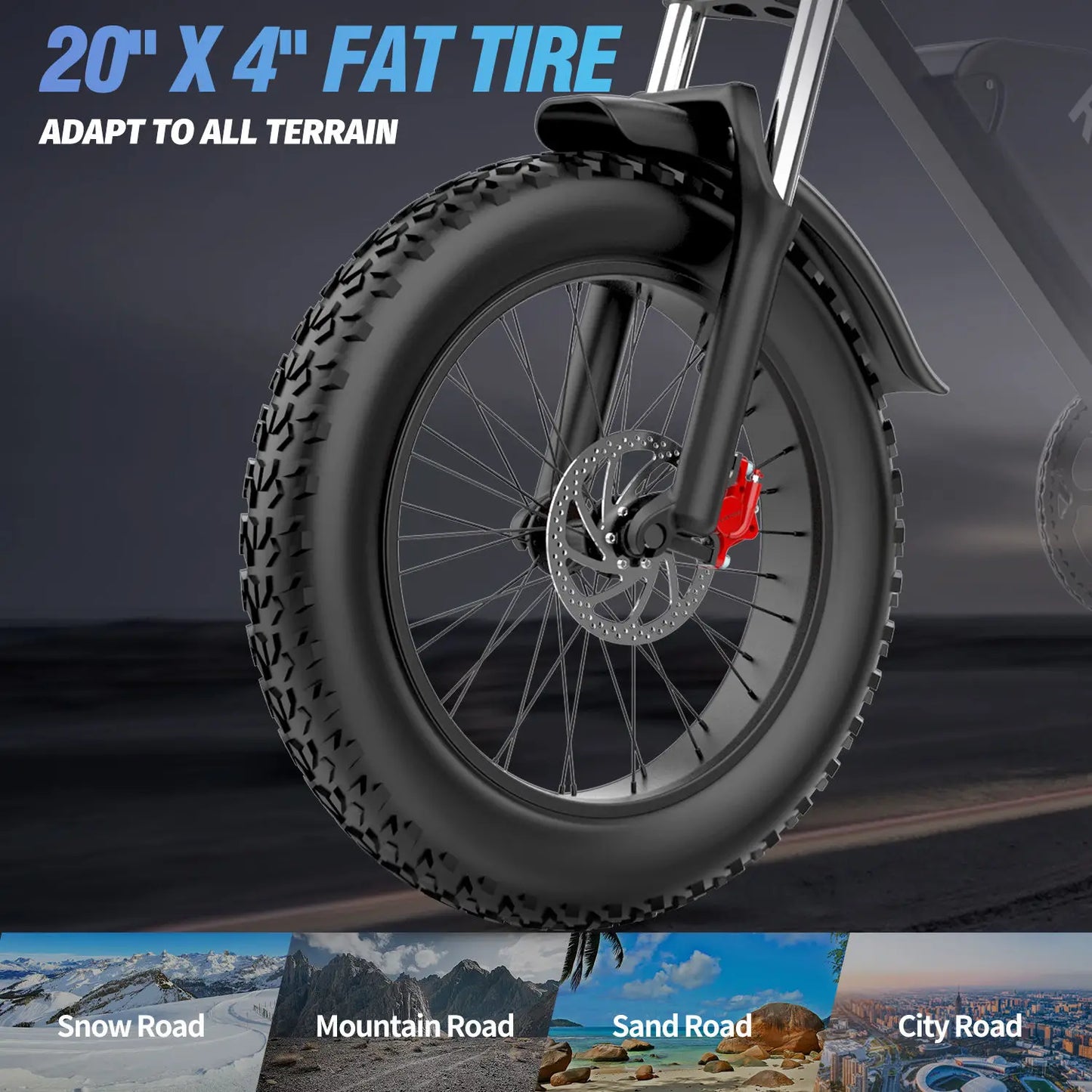 RIDSTAR Q20 Lite Electric Bike 1200W 48V 15Ah Fat Tire